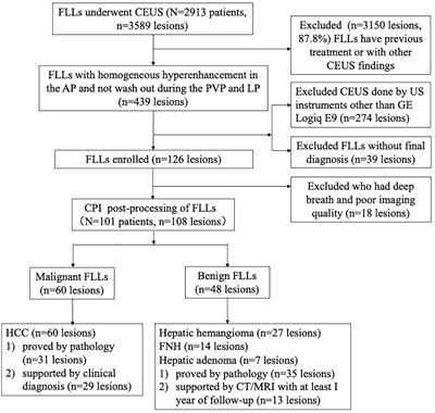 The added value of color parameter imaging for the evaluation of focal liver lesions with “homogenous hyperenhancement and no wash out” on contrast enhanced ultrasound